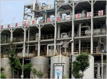 德藍工廠